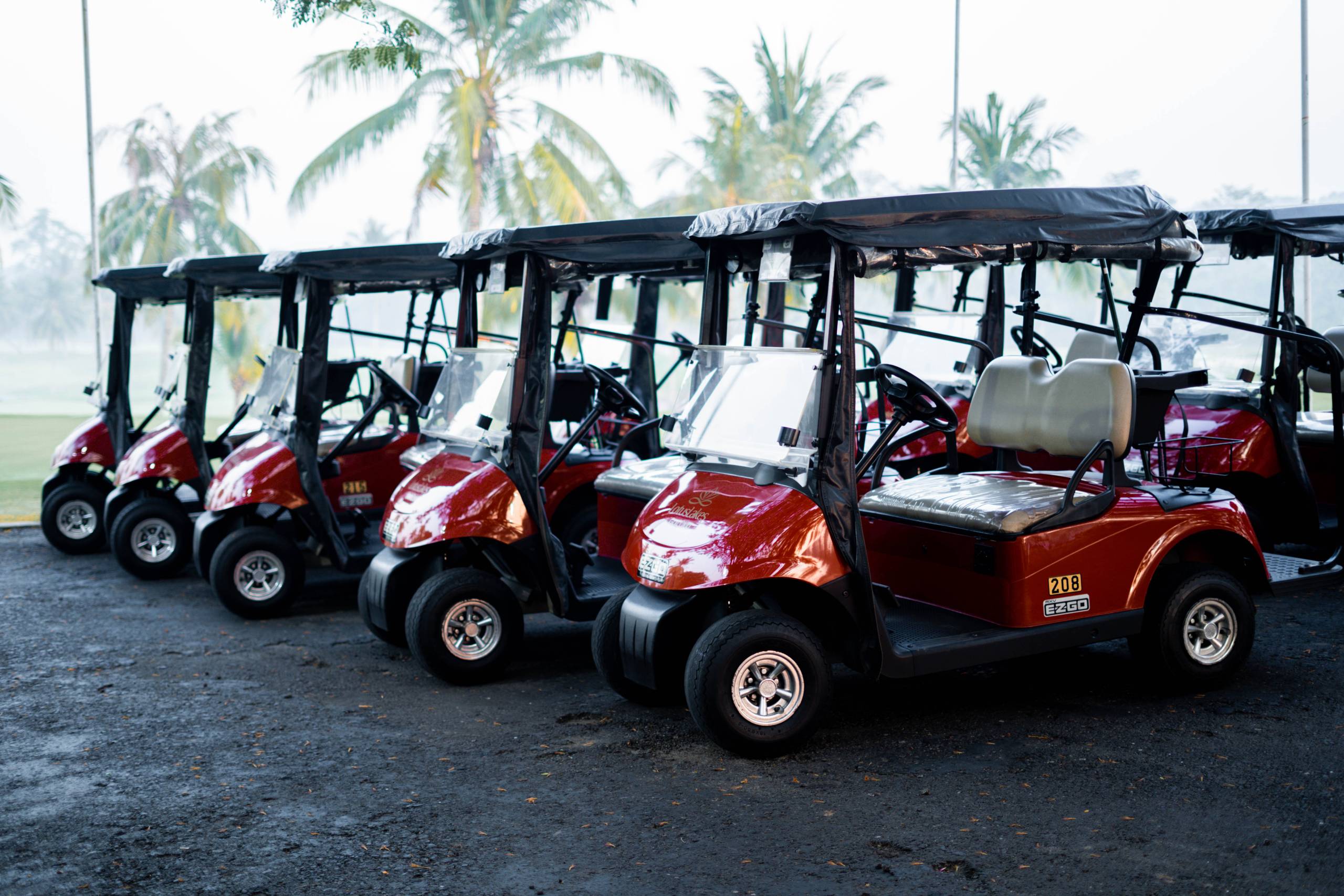 Golf Cart LotusLakes
